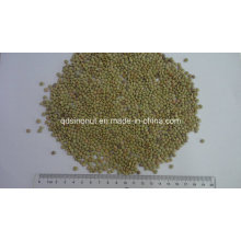 Gansu Origin Small Green Lentils